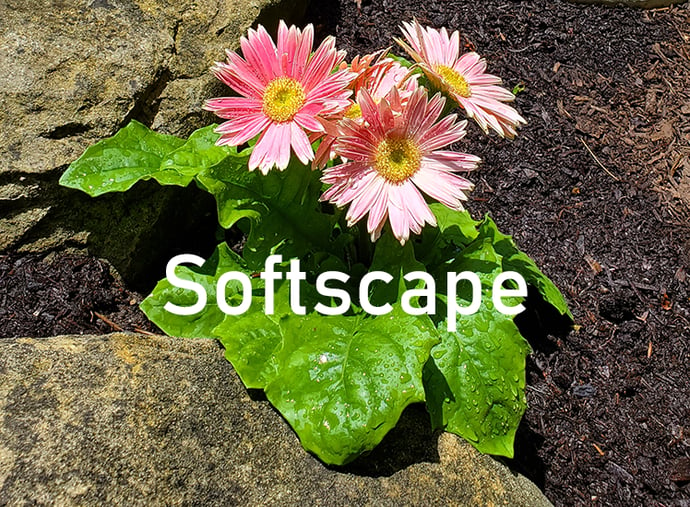 softscape3