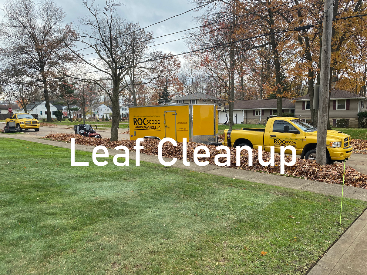 leafcleanup3